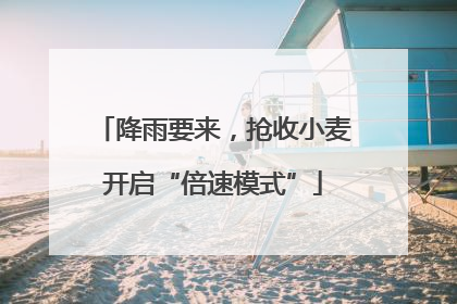 降雨要来，抢收小麦开启“倍速模式”