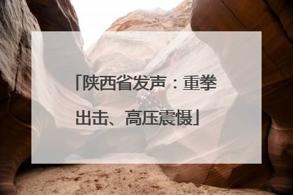 陕西省发声：重拳出击、高压震慑