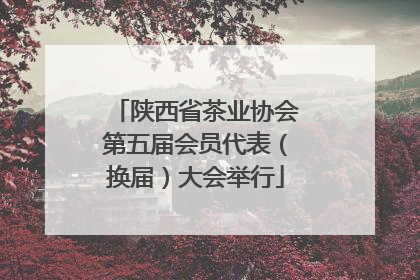 陕西省茶业协会第五届会员代表（换届）大会举行