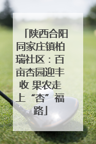 陕西合阳同家庄镇柏瑞社区：百亩杏园迎丰收 果农走上“杏”福路