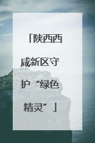 陕西西咸新区守护“绿色精灵”