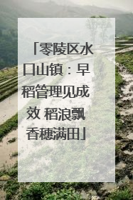 零陵区水口山镇：早稻管理见成效 稻浪飘香穗满田