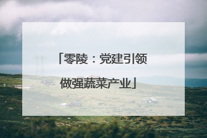 零陵：党建引领 做强蔬菜产业