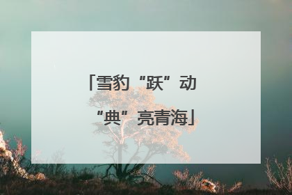 雪豹“跃”动 “典”亮青海