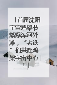 首届沈阳宇宙鸡架节燃爆浑河外滩，“老铁”们共赴鸡架宇宙中心！