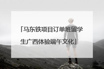 马东铁项目订单班留学生广西体验端午文化
