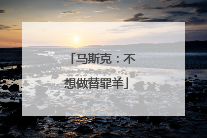 马斯克：不想做替罪羊