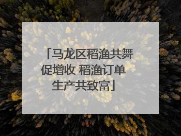 马龙区稻渔共舞促增收 稻渔订单生产共致富