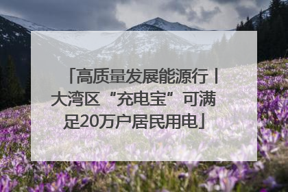高质量发展能源行丨大湾区“充电宝”可满足20万户居民用电