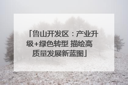 鲁山开发区：产业升级+绿色转型 描绘高质量发展新蓝图