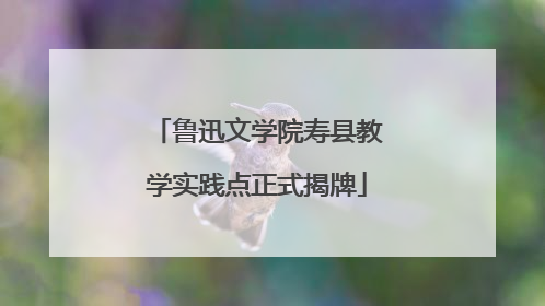 鲁迅文学院寿县教学实践点正式揭牌