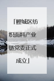 鲤城区纺织面料产业链党委正式成立