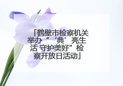 鹤壁市检察机关举办“‘典’亮生活 守护美好”检察开放日活动