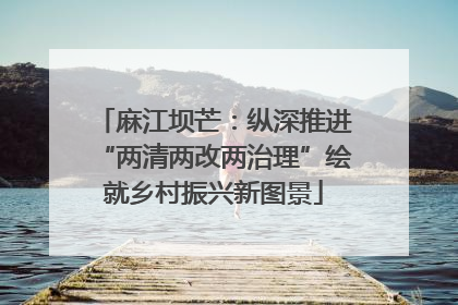 麻江坝芒：纵深推进“两清两改两治理”绘就乡村振兴新图景