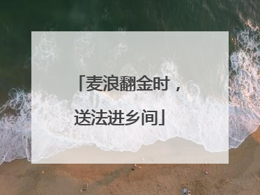 麦浪翻金时，送法进乡间