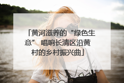 黄河滋养的“绿色生意” 唱响长清区沿黄村的乡村振兴曲