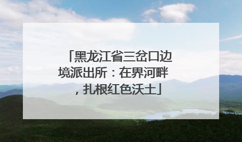黑龙江省三岔口边境派出所：在界河畔，扎根红色沃土