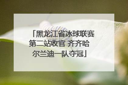 黑龙江省冰球联赛第二站收官 齐齐哈尔兰迪一队夺冠