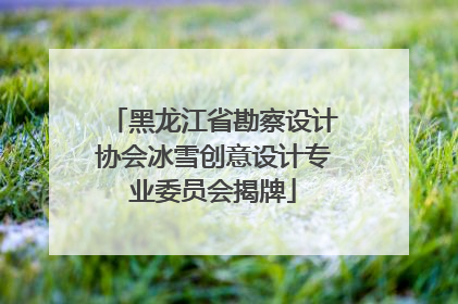 黑龙江省勘察设计协会冰雪创意设计专业委员会揭牌