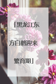 黑龙江东方白鹳迎来繁育期