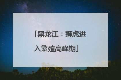 黑龙江：狮虎进入繁殖高峰期