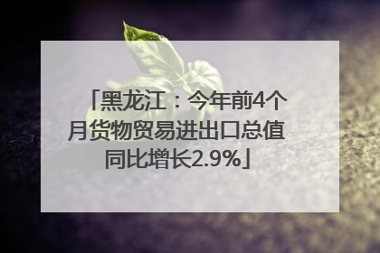 黑龙江：今年前4个月货物贸易进出口总值同比增长2.9%