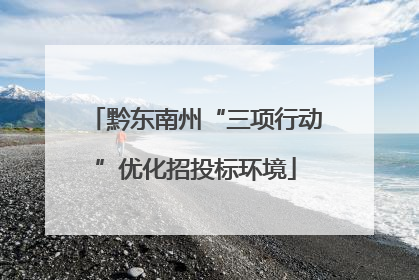 黔东南州“三项行动”优化招投标环境