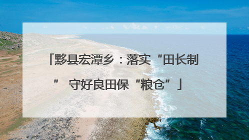 黟县宏潭乡：落实“田长制” 守好良田保“粮仓”