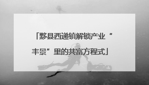 黟县西递镇解锁产业“丰景”里的共富方程式