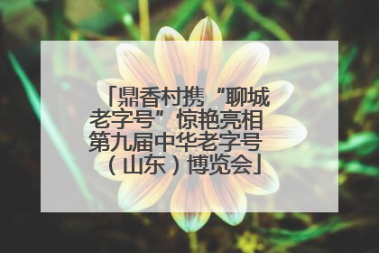 鼎香村携“聊城老字号”惊艳亮相第九届中华老字号（山东）博览会