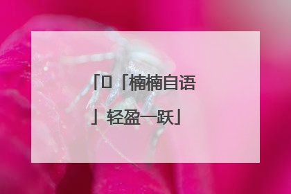 ﻿「楠楠自语」轻盈一跃