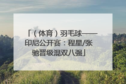 （体育）羽毛球——印尼公开赛：程星/张驰晋级混双八强