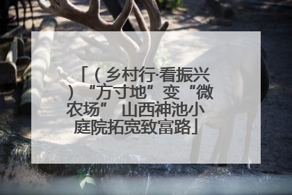 （乡村行·看振兴）“方寸地”变“微农场” 山西神池小庭院拓宽致富路