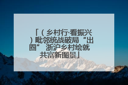 （乡村行·看振兴）毗邻统战破局“出圈” 浙沪乡村绘就共富新图景