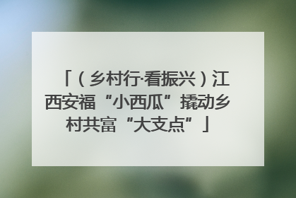（乡村行·看振兴）江西安福“小西瓜”撬动乡村共富“大支点”