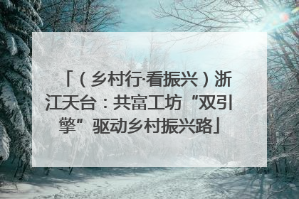 （乡村行·看振兴）浙江天台：共富工坊“双引擎”驱动乡村振兴路