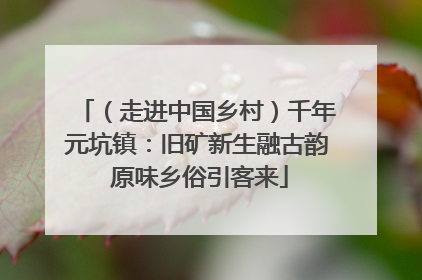 （走进中国乡村）千年元坑镇：旧矿新生融古韵 原味乡俗引客来