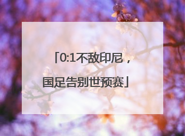 0:1不敌印尼，国足告别世预赛