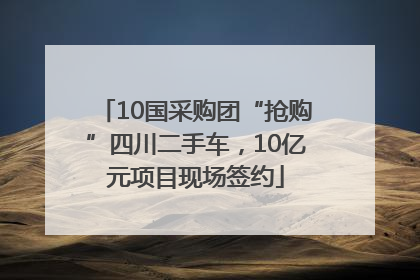 10国采购团“抢购”四川二手车，10亿元项目现场签约