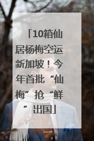 10箱仙居杨梅空运新加坡！今年首批“仙梅”抢“鲜”出国