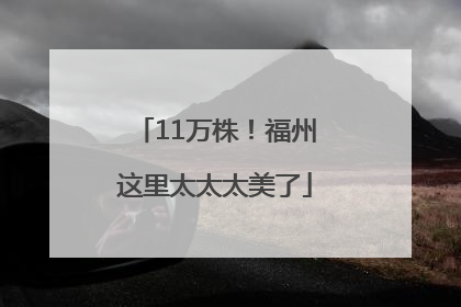 11万株！福州这里太太太美了