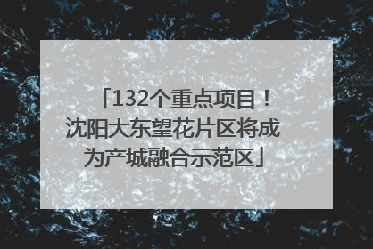 132个重点项目！沈阳大东望花片区将成为产城融合示范区