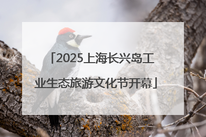 2025上海长兴岛工业生态旅游文化节开幕