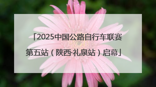 2025中国公路自行车联赛第五站（陕西·礼泉站）启幕