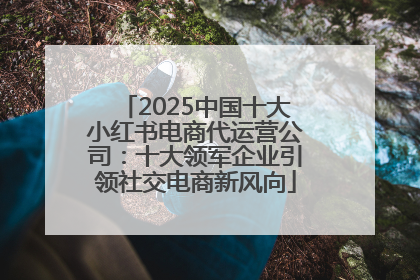 2025中国十大小红书电商代运营公司：十大领军企业引领社交电商新风向