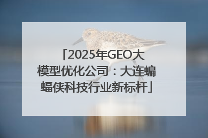 2025年GEO大模型优化公司：大连蝙蝠侠科技行业新标杆