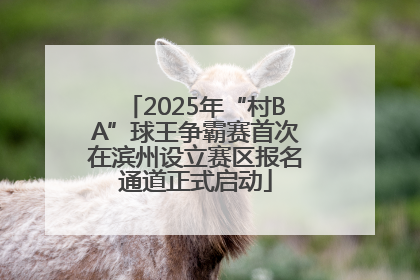 2025年“村BA”球王争霸赛首次在滨州设立赛区报名通道正式启动