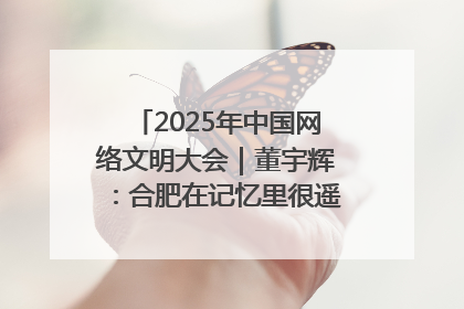 2025年中国网络文明大会｜董宇辉：合肥在记忆里很遥远也很亲切