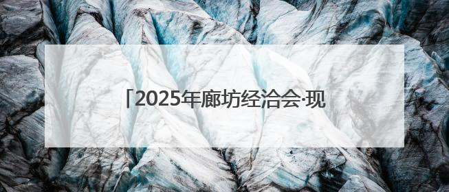 2025年廊坊经洽会·现场丨国际招商“磁力”足 外商争相向河北推介项目