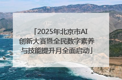 2025年北京市AI创新大赛暨全民数字素养与技能提升月全面启动